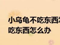 小乌龟不吃东西怎么办老是闭着嘴 小乌龟不吃东西怎么办 