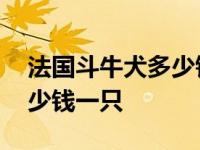 法国斗牛犬多少钱一只黑白花 法国斗牛犬多少钱一只 