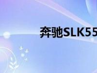 奔驰SLK55多少钱 奔驰slk55 