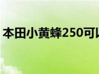 本田小黄蜂250可以上牌吗? 本田小黄蜂250 