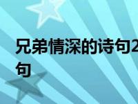 兄弟情深的诗句2023年最新版 兄弟情深的诗句 