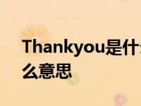 Thankyou是什么意思翻译 thankyou是什么意思 