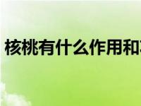 核桃有什么作用和功效 核桃营养价值及功效 