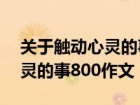 关于触动心灵的事的作文800字以上 触动心灵的事800作文 