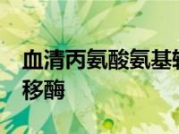 血清丙氨酸氨基转移酶43 血清丙氨酸氨基转移酶 