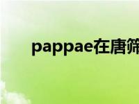 pappae在唐筛中是什么意思 pappa 