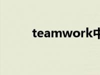 teamwork中文翻译 teamwork 