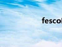 fesco啥意思 fesco 