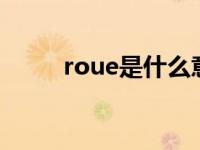 roue是什么意思 rogue什么意思 