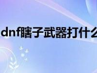 dnf瞎子武器打什么宝珠 dnf瞎子用什么武器 