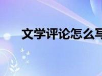 文学评论怎么写模板 文学评论怎么写 