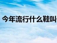 今年流行什么鞋叫什么名字 今年流行什么鞋 