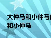 大仲马和小仲马的故事报幕词怎么写 大仲马和小仲马 