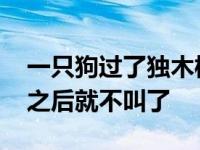 一只狗过了独木桥不叫了 一条狗过了独木桥之后就不叫了 