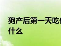 狗产后第一天吃什么最好 狗生完小狗应该吃什么 