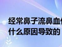 经常鼻子流鼻血什么原因导致的 鼻子流鼻血什么原因导致的 