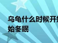 乌龟什么时候开始冬眠状态 乌龟什么时候开始冬眠 