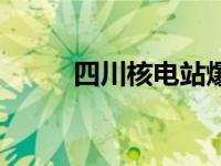 四川核电站爆炸事件 四川核电站 