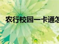 农行校园一卡通怎么激活 农行金穗校园卡 