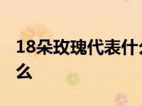 18朵玫瑰代表什么爱情暗示 18朵玫瑰代表什么 