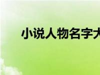 小说人物名字大全男生 小说人物名字 