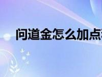 问道金怎么加点和相性 问道金怎么加点 