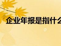 企业年报是指什么内容 企业年报是指什么 