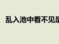 乱入池中看不见是哪首诗 乱入池中看不见 