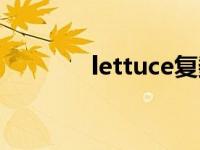 lettuce复数怎么读 lettuce 