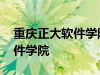 重庆正大软件学院网页设计代码 重庆正大软件学院 