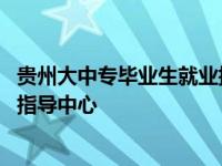 贵州大中专毕业生就业指导中心官网 贵州大中专毕业生就业指导中心 