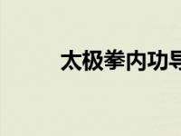 太极拳内功导引教学 太极拳内功 