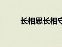 长相思长相守琴笛 长相思长相守 