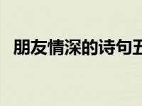 朋友情深的诗句五言绝句 朋友情深的诗句 