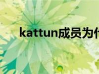 kattun成员为什么讨厌kame kattun 