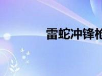 雷蛇冲锋枪弹夹 雷蛇冲锋枪 