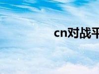 cn对战平台 bn对战平台 