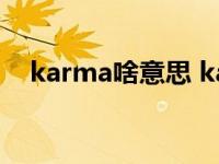 karma啥意思 karmaisabitch什么意思 