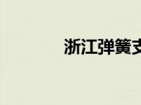 浙江弹簧支架厂家 浙江弹簧 