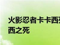 火影忍者卡卡西死琳是哪一集 火影忍者卡卡西之死 