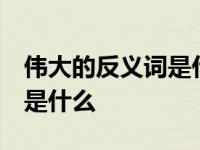 伟大的反义词是什么 标准答案 伟大的反义词是什么 