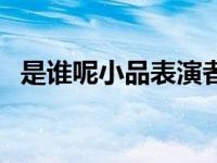 是谁呢小品表演者简介 是谁呢小品表演者 