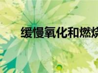 缓慢氧化和燃烧的共同特点 缓慢氧化 