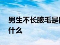 男生不长腋毛是因为什么 男生不长腋毛是为什么 