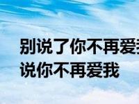 别说了你不再爱我这是什么歌 别说了别说别说你不再爱我 