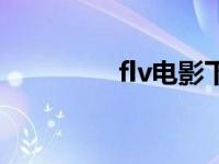 flv电影下载网站 flv电影 