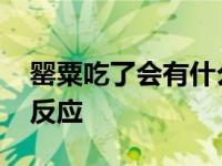 罂粟吃了会有什么反应嘛 罂粟吃了会有什么反应 