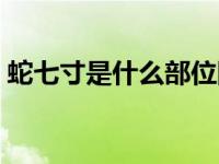 蛇七寸是什么部位图片 蛇的七寸是什么部位 