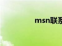 msn联系人 msn加好友 