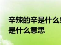 辛辣的辛是什么意思辣是什么意思 辛辣的辛是什么意思 